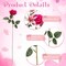 20PCS Artificial Lily and Rose Bouquet – Realistic Silk Pink Roses & Champagne Lilies Long Stem Fake Flowers for Wedding, Mother’s Day, Bridal, Party & Table Centerpiece Decoration
